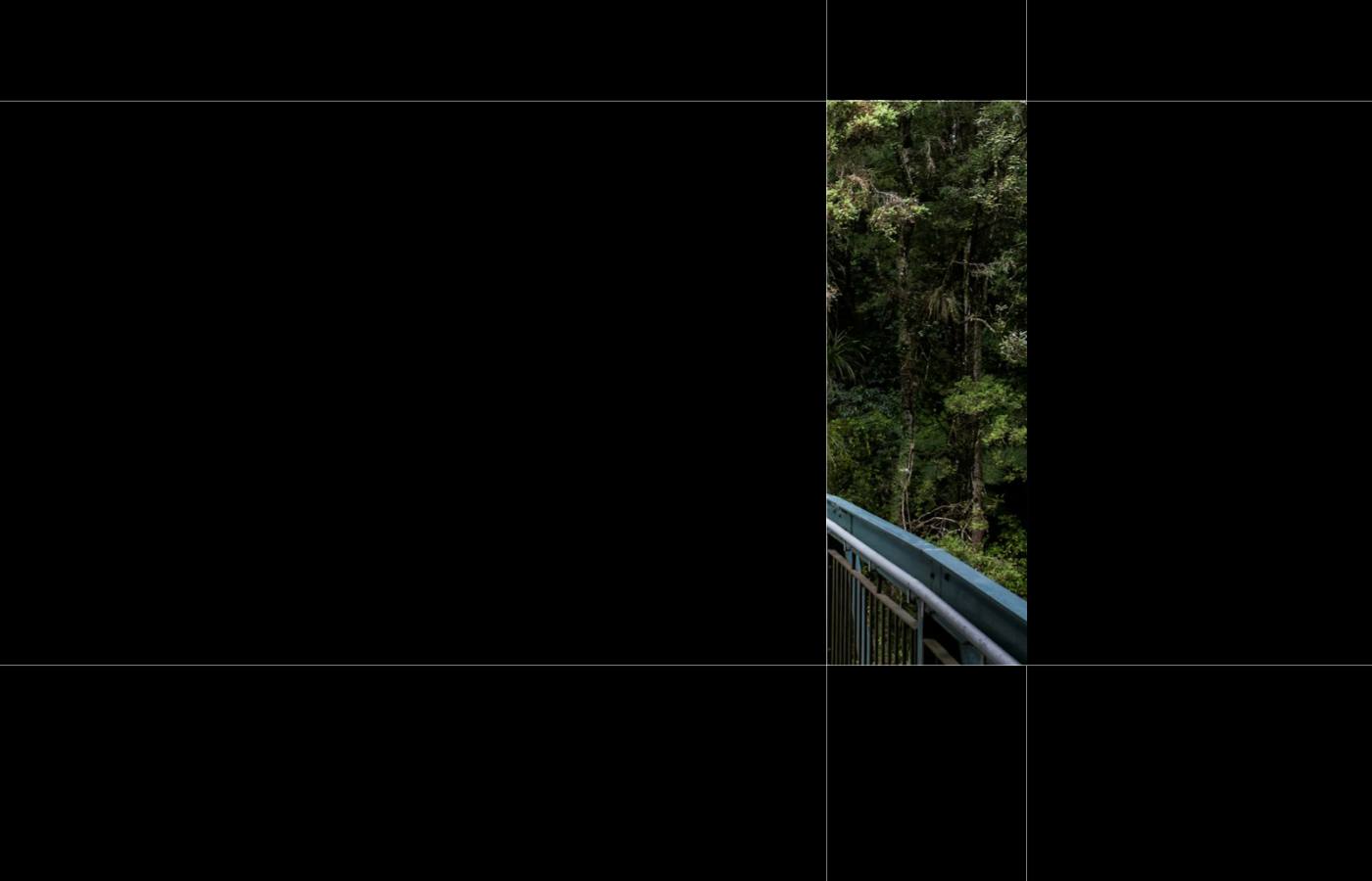 v15 · box lines